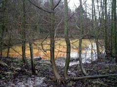 lagoon-listing.jpg